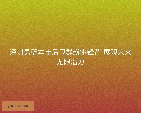 深圳男篮本土后卫群崭露锋芒 展现未来无限潜力